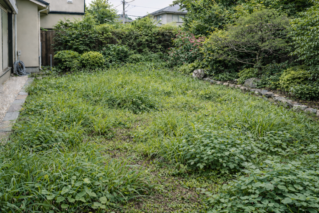 庭木剪定・除草作業前の様子　雑草と庭木が伸び放題の庭