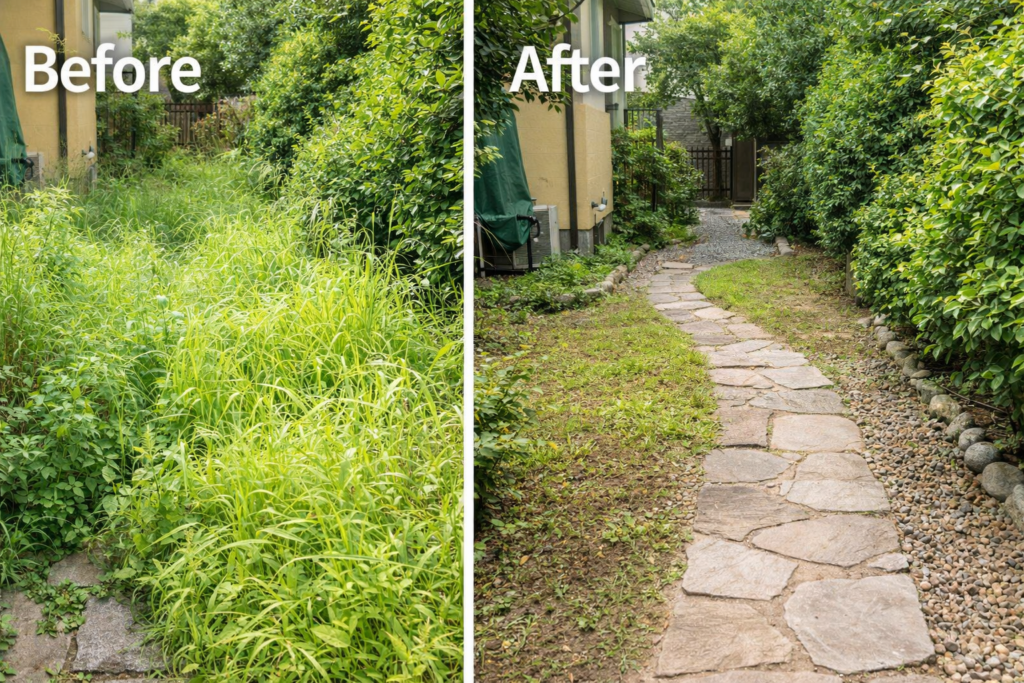 草刈り・除草のビフォーアフター（雑草を除去して通路が見えるようになった庭）
