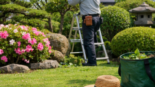 春の庭木剪定はいつがいい？失敗しない時期の目安と注意点